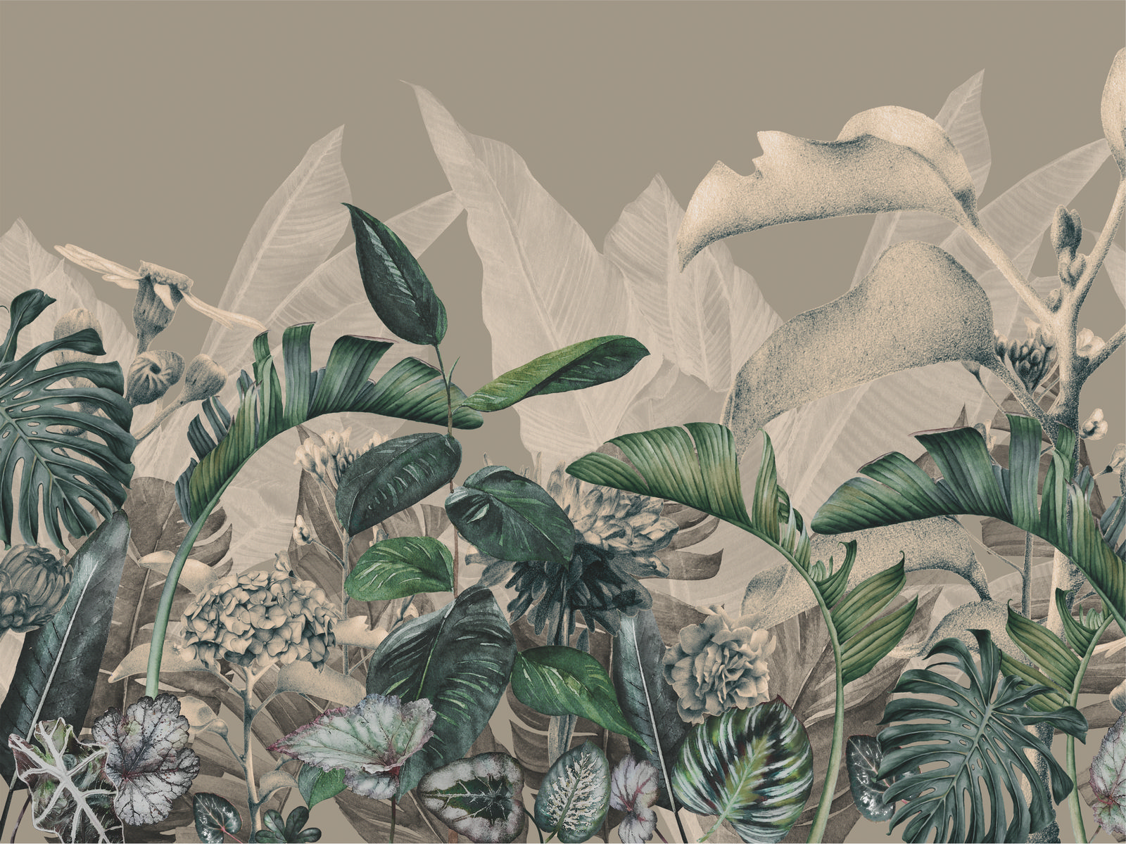 Ar0014_2